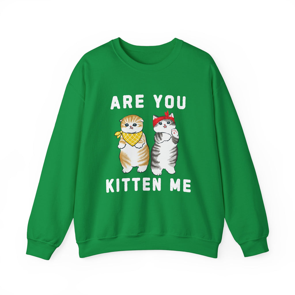 Are You Kitten Me Sweatshirt