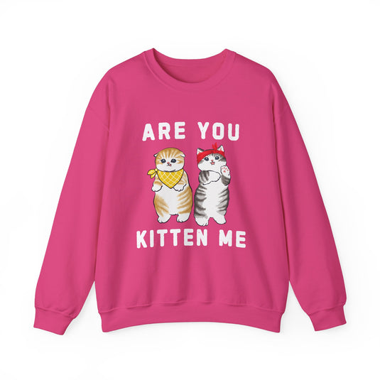 Are You Kitten Me Cat Sweatshirt