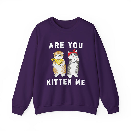 Are You Kitten Me Cat Sweatshirt