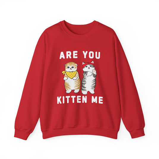 Are You Kitten Me Cat Sweatshirt