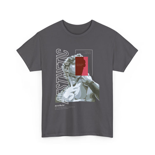 Aesthetic Streetwear T-Shirt