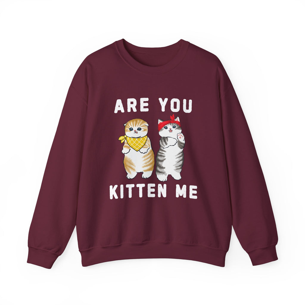 Are You Kitten Me Sweatshirt