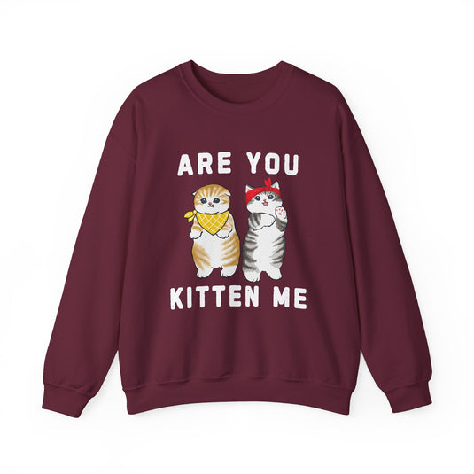 Are You Kitten Me Cat Sweatshirt