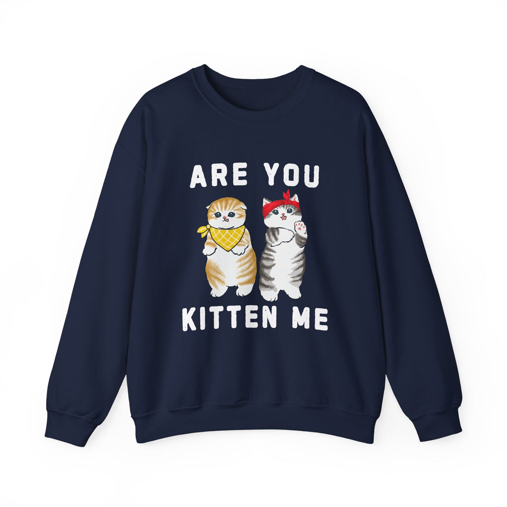 Are You Kitten Me Sweatshirt