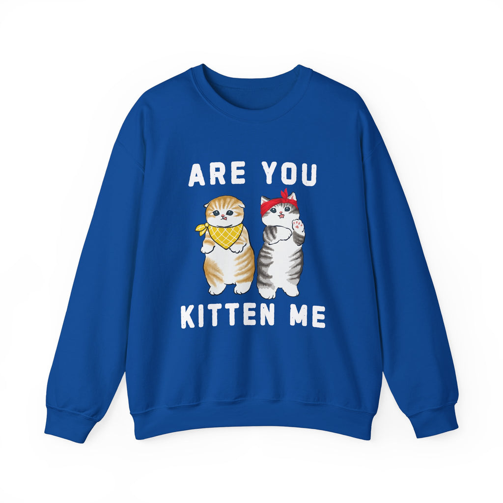 Are You Kitten Me Sweatshirt