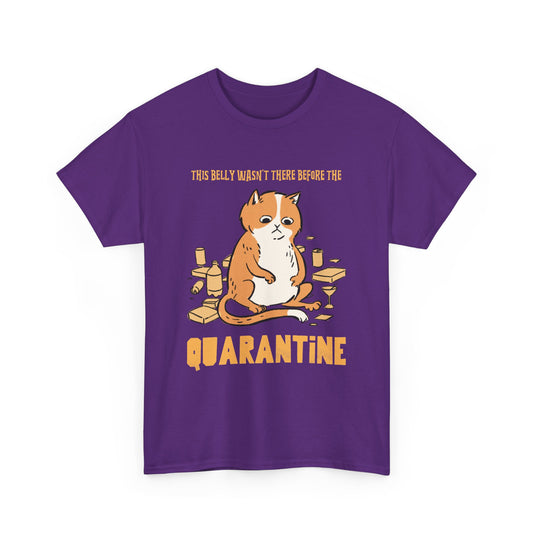 Belly Wasn't There Before Quarantine Cat T-Shirt